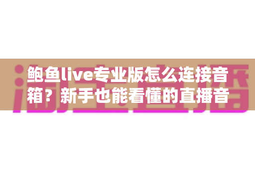鲍鱼live专业版怎么连接音箱？新手也能看懂的直播音响连接全攻略与音质优化指南