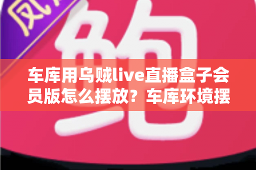 车库用乌贼live直播盒子会员版怎么摆放？车库环境摆放全攻略与实用技巧一文学会