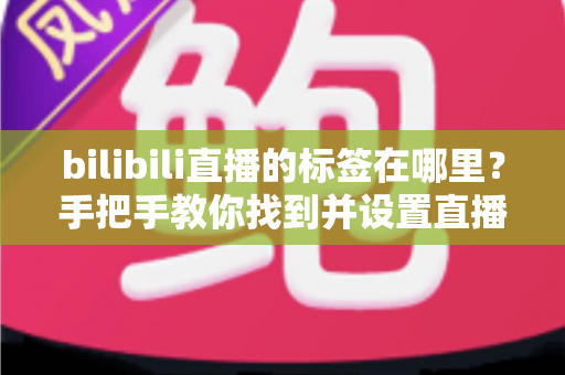 bilibili直播的标签在哪里？手把手教你找到并设置直播标签的完整指南
