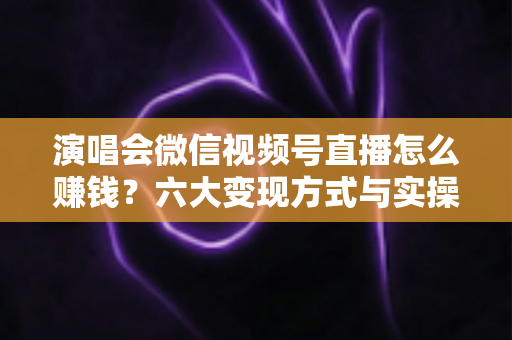 演唱会微信视频号直播怎么赚钱？六大变现方式与实操指南全面解析
