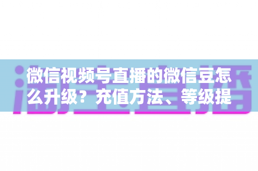 微信视频号直播的微信豆怎么升级？充值方法、等级提升与使用技巧全解析