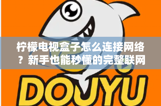 柠檬电视盒子怎么连接网络?新手也能秒懂的完整联网教程与避坑指南 柠檬电视盒子怎么连接网络?新手也能秒懂的完整联网教程与避坑指南